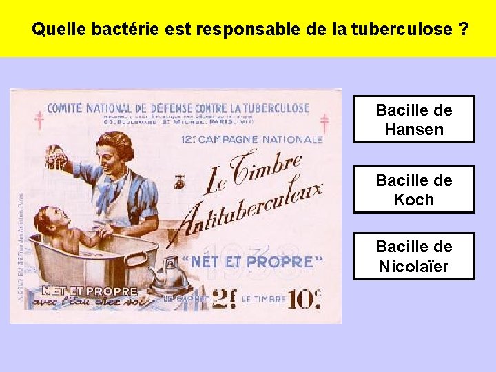 Quelle bactérie est responsable de la tuberculose ? Bacille de Hansen Bacille de Koch