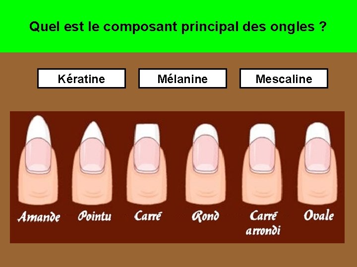 Quel est le composant principal des ongles ? Kératine Mélanine Mescaline 