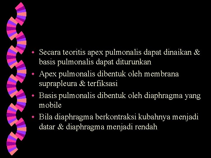 Secara teoritis apex pulmonalis dapat dinaikan & basis pulmonalis dapat diturunkan w Apex pulmonalis