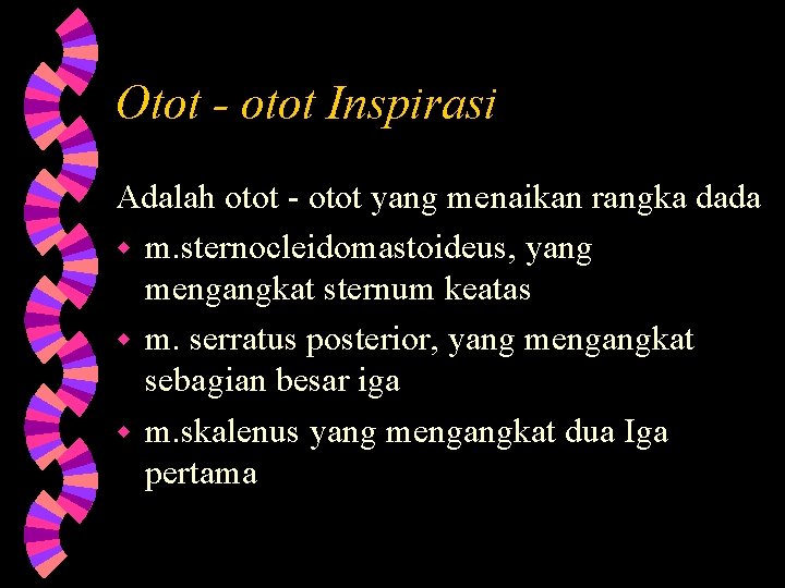 Otot - otot Inspirasi Adalah otot - otot yang menaikan rangka dada w m.