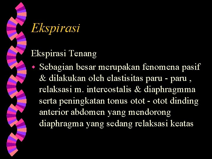 Ekspirasi Tenang w Sebagian besar merupakan fenomena pasif & dilakukan oleh elastisitas paru -