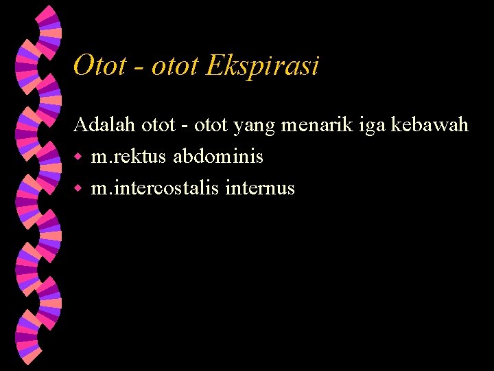 Otot - otot Ekspirasi Adalah otot - otot yang menarik iga kebawah w m.