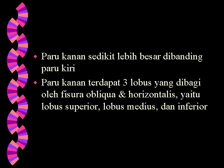 Paru kanan sedikit lebih besar dibanding paru kiri w Paru kanan terdapat 3 lobus