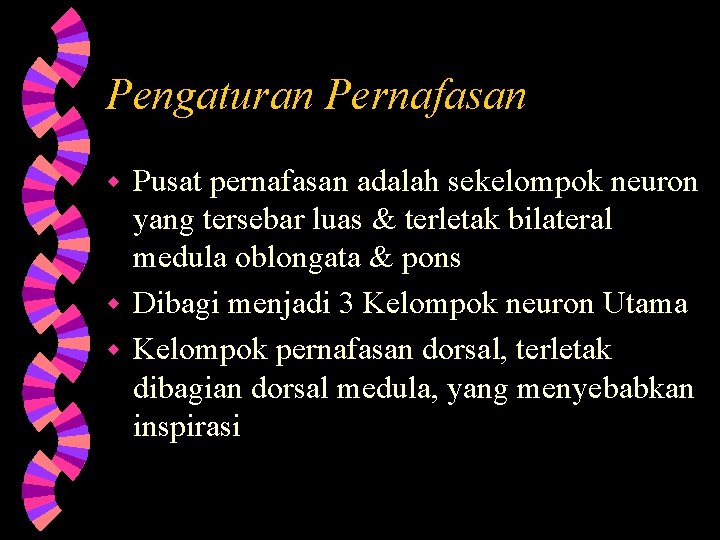 Pengaturan Pernafasan Pusat pernafasan adalah sekelompok neuron yang tersebar luas & terletak bilateral medula