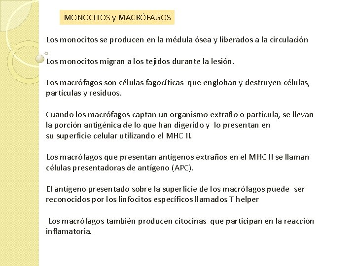 MONOCITOS y MACRÓFAGOS Los monocitos se producen en la médula ósea y liberados a MONOCITOS y MACRÓFAGOS Los monocitos se producen en la médula ósea y liberados a