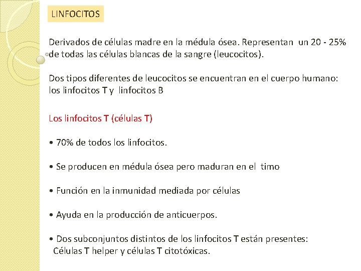 LINFOCITOS Derivados de células madre en la médula ósea. Representan un 20 - 25% LINFOCITOS Derivados de células madre en la médula ósea. Representan un 20 - 25%