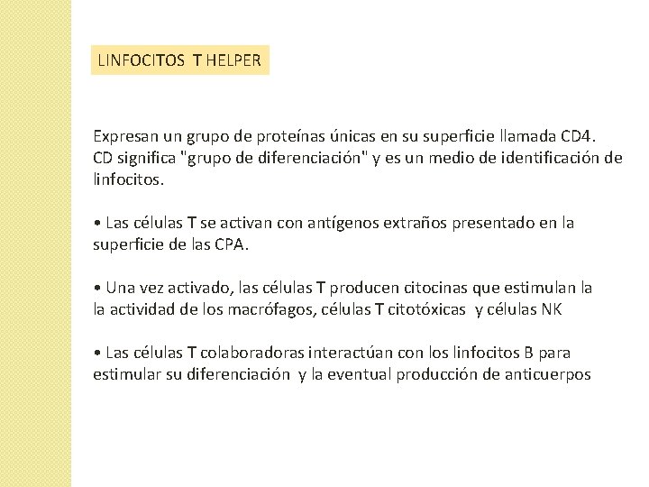 LINFOCITOS T HELPER Expresan un grupo de proteínas únicas en su superficie llamada CD LINFOCITOS T HELPER Expresan un grupo de proteínas únicas en su superficie llamada CD