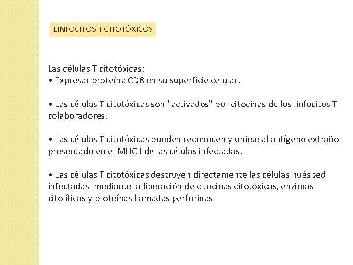 LINFOCITOS T CITOTÓXICOS Las células T citotóxicas: • Expresar proteína CD 8 en su LINFOCITOS T CITOTÓXICOS Las células T citotóxicas: • Expresar proteína CD 8 en su