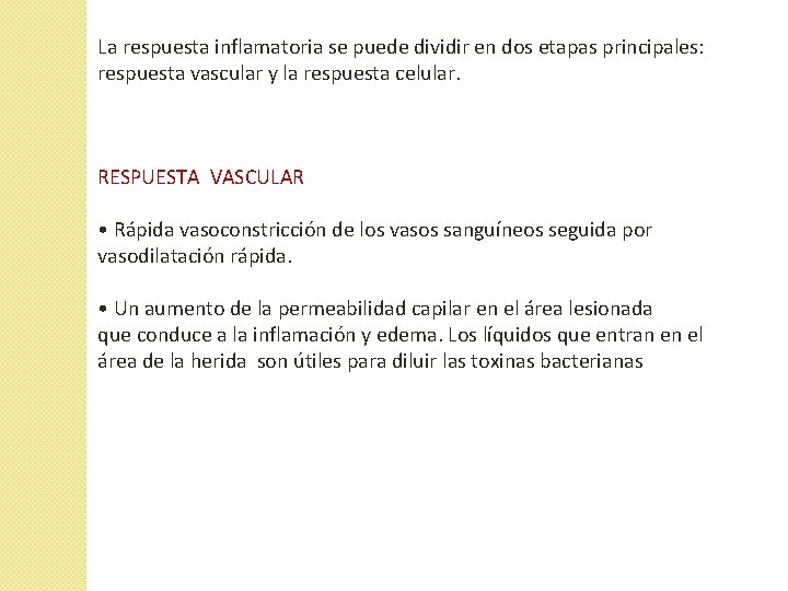 La respuesta inflamatoria se puede dividir en dos etapas principales: respuesta vascular y la La respuesta inflamatoria se puede dividir en dos etapas principales: respuesta vascular y la