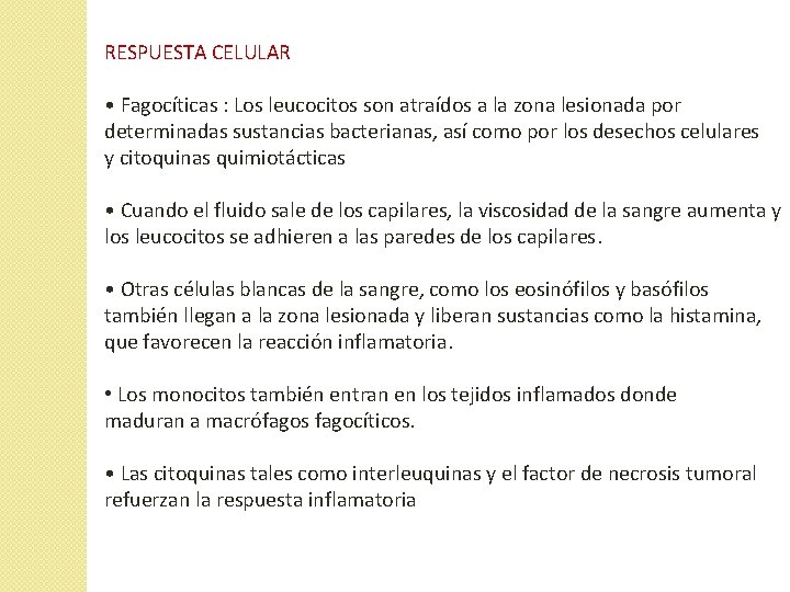 RESPUESTA CELULAR • Fagocíticas : Los leucocitos son atraídos a la zona lesionada por RESPUESTA CELULAR • Fagocíticas : Los leucocitos son atraídos a la zona lesionada por