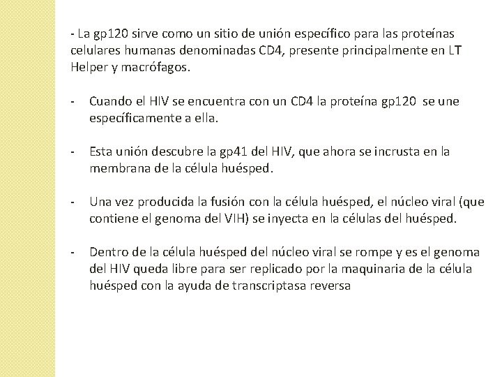 - La gp 120 sirve como un sitio de unión específico para las proteínas - La gp 120 sirve como un sitio de unión específico para las proteínas