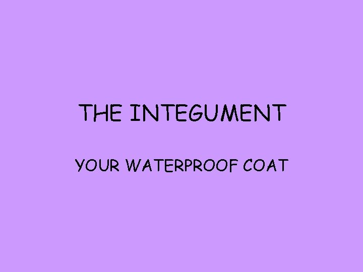 THE INTEGUMENT YOUR WATERPROOF COAT 