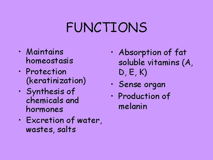 FUNCTIONS • Maintains homeostasis • Protection (keratinization) • Synthesis of chemicals and hormones •