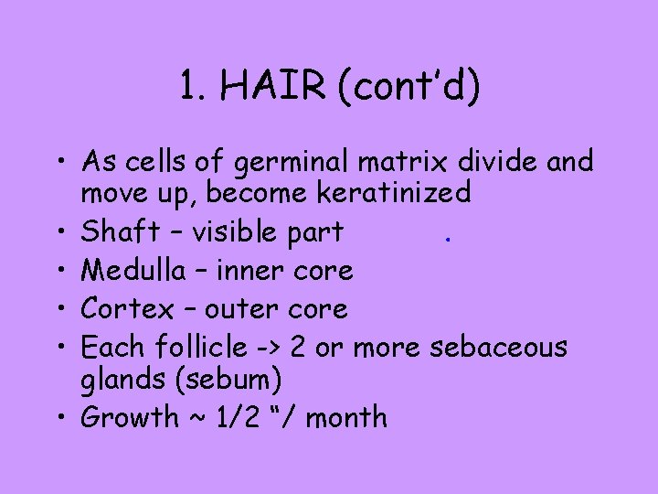 1. HAIR (cont’d) • As cells of germinal matrix divide and move up, become