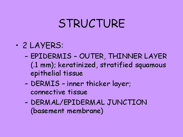 STRUCTURE • 2 LAYERS: – EPIDERMIS – OUTER, THINNER LAYER (. 1 mm); keratinized,