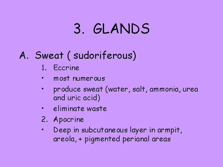 3. GLANDS A. Sweat ( sudoriferous) 1. Eccrine • most numerous • produce sweat