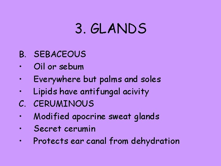 3. GLANDS B. • • • C. • • • SEBACEOUS Oil or sebum