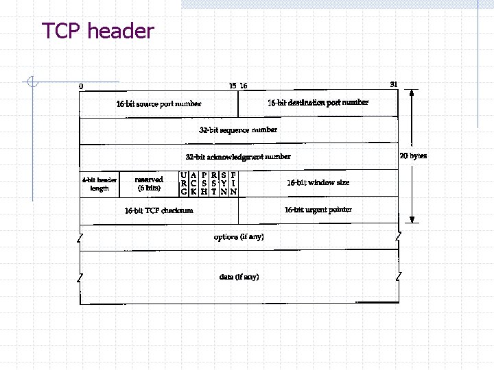 TCP header TCP header