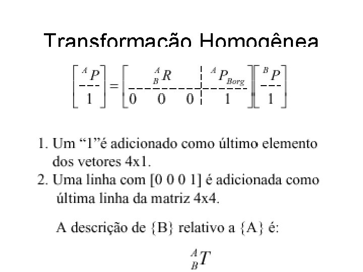 Transformação Homogênea 