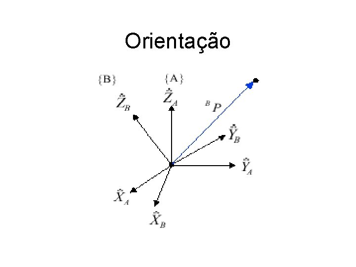 Orientação 