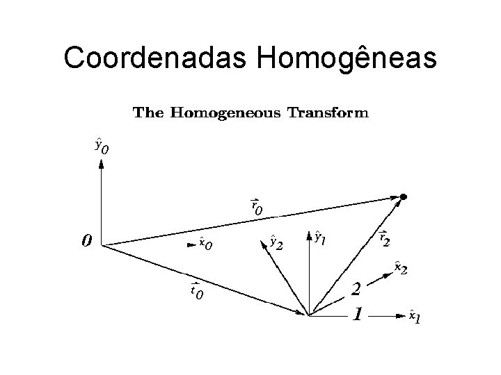 Coordenadas Homogêneas 