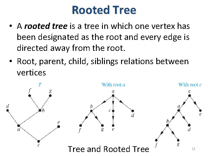 Rooted Tree • A rooted tree is a tree in which one vertex has Rooted Tree • A rooted tree is a tree in which one vertex has