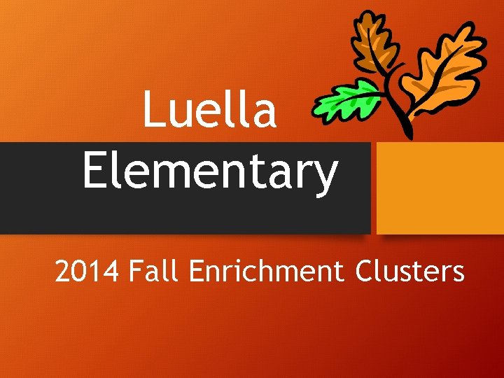 Luella Elementary 2014 Fall Enrichment Clusters 