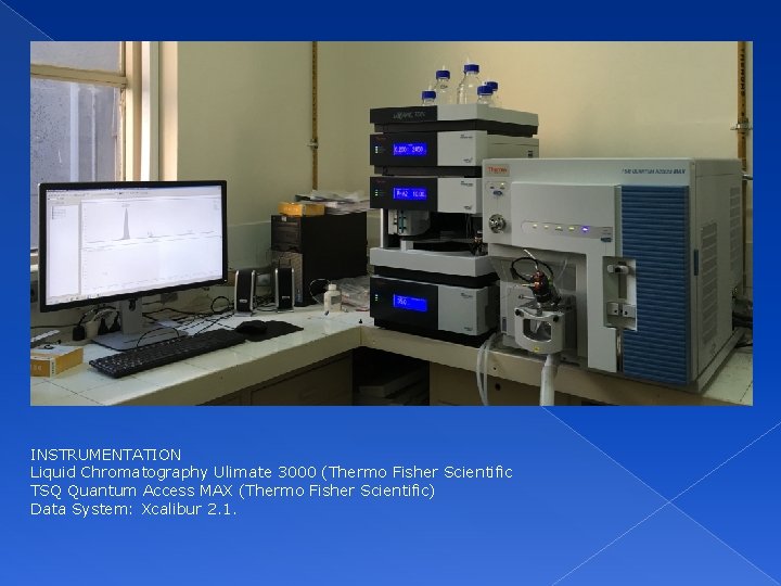 INSTRUMENTATION Liquid Chromatography Ulimate 3000 (Thermo Fisher Scientific TSQ Quantum Access MAX (Thermo Fisher