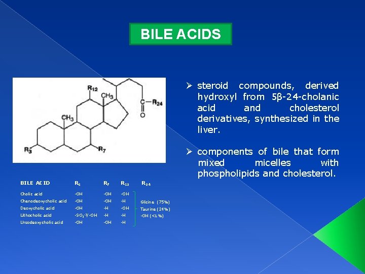 BILE ACIDS Ø steroid compounds, derived hydroxyl from 5β-24 -cholanic acid and cholesterol derivatives,
