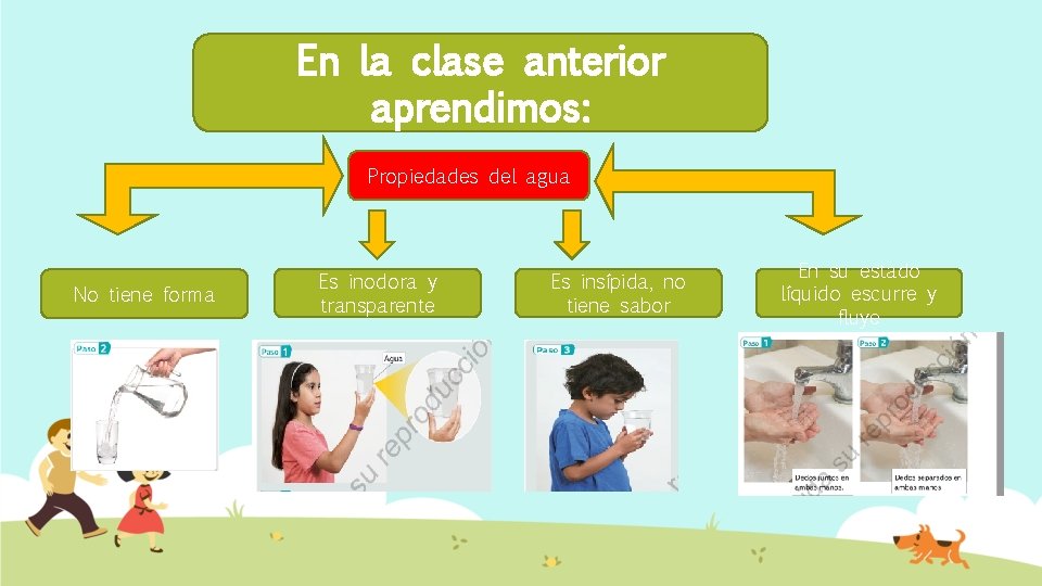 En la clase anterior aprendimos: Propiedades del agua No tiene forma Es inodora y