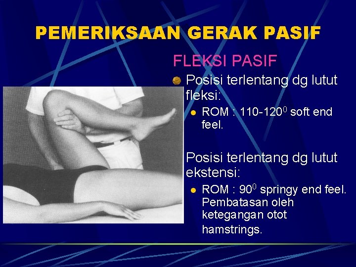 PEMERIKSAAN GERAK PASIF FLEKSI PASIF Posisi terlentang dg lutut fleksi: l ROM : 110 PEMERIKSAAN GERAK PASIF FLEKSI PASIF Posisi terlentang dg lutut fleksi: l ROM : 110