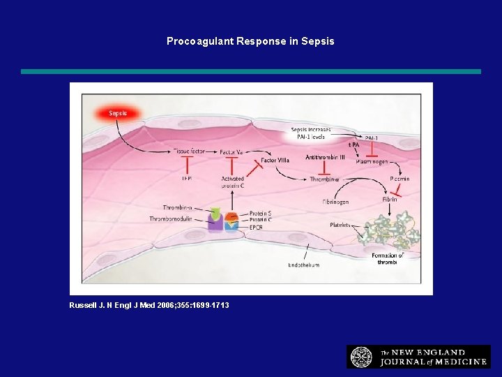 Procoagulant Response in Sepsis Russell J. N Engl J Med 2006; 355: 1699 -1713