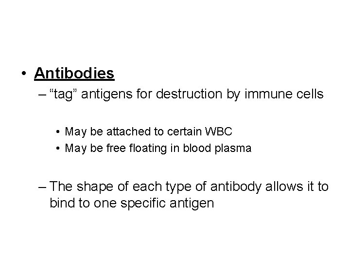 • Antibodies – “tag” antigens for destruction by immune cells • May be • Antibodies – “tag” antigens for destruction by immune cells • May be
