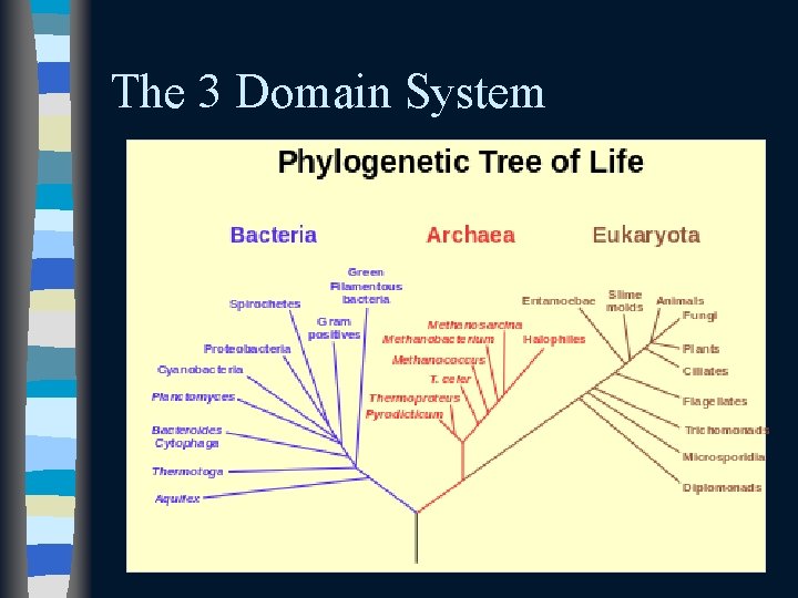 The 3 Domain System 