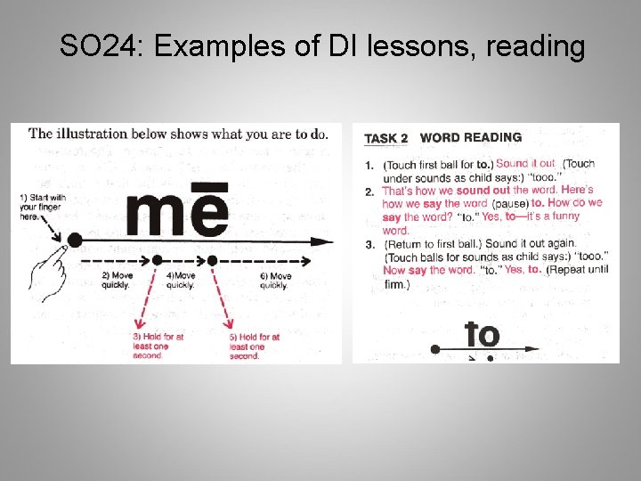 SO 24: Examples of DI lessons, reading 