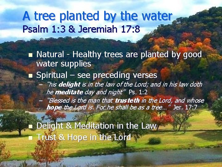 A tree planted by the water Psalm 1: 3 & Jeremiah 17: 8 n