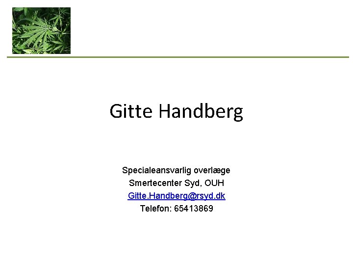 Gitte Handberg Specialeansvarlig overlæge Smertecenter Syd, OUH Gitte. Handberg@rsyd. dk Telefon: 65413869 