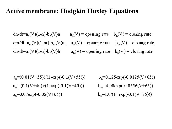 Active membrane: Hodgkin Huxley Equations dn/dt=an(V)(1 -n)-bn(V)n an(V) = opening rate bn(V) = closing