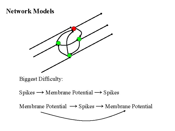 Network Models Biggest Difficulty: Spikes → Membrane Potential → Spikes → Membrane Potential 