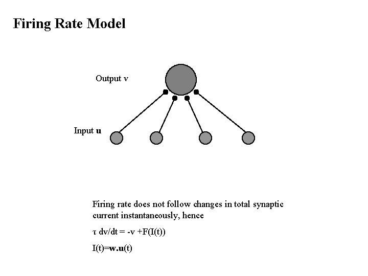 Firing Rate Model Output v Input u Firing rate does not follow changes in