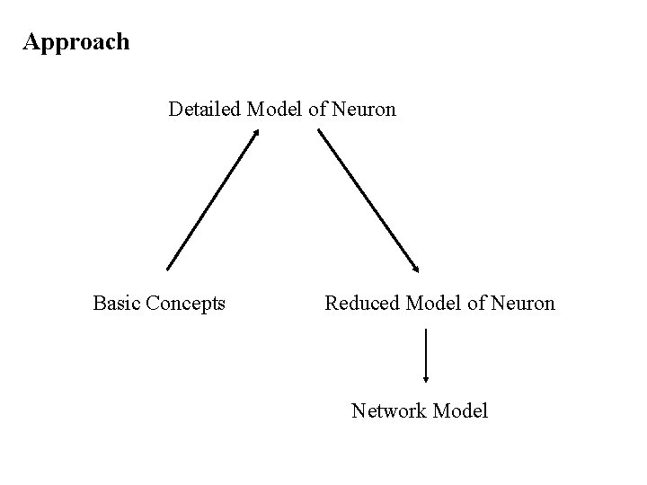 Approach Detailed Model of Neuron Basic Concepts Reduced Model of Neuron Network Model 