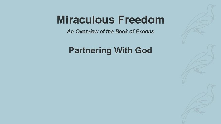 Miraculous Freedom An Overview of the Book of Exodus Partnering With God 