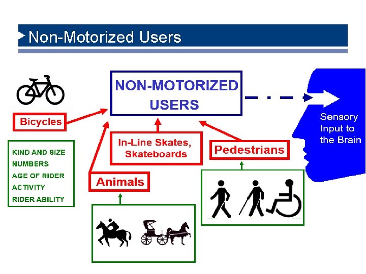 Non-Motorized Users 6/14/2021 14 