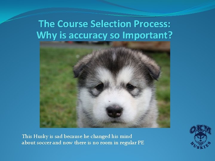 The Course Selection Process: Why is accuracy so Important? This Husky is sad because The Course Selection Process: Why is accuracy so Important? This Husky is sad because