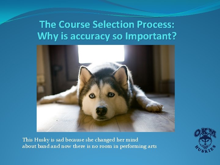 The Course Selection Process: Why is accuracy so Important? This Husky is sad because The Course Selection Process: Why is accuracy so Important? This Husky is sad because