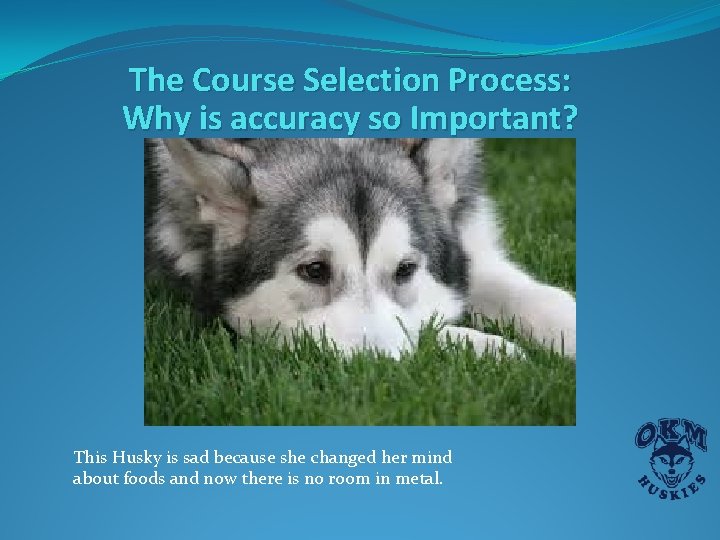 The Course Selection Process: Why is accuracy so Important? This Husky is sad because The Course Selection Process: Why is accuracy so Important? This Husky is sad because