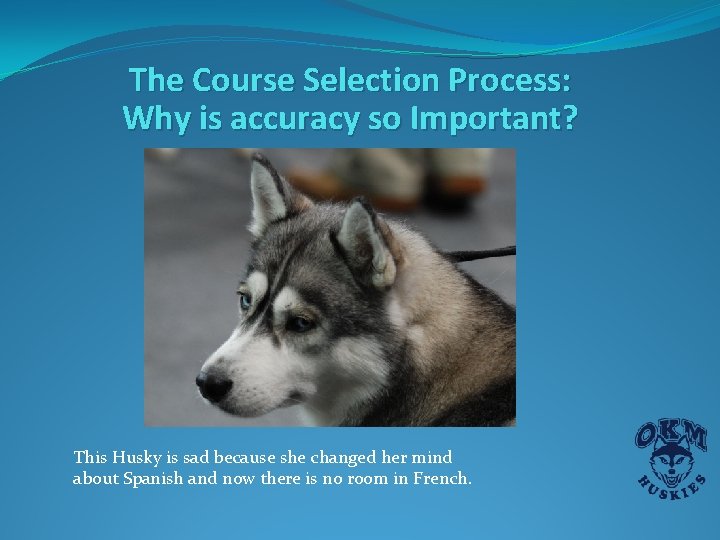 The Course Selection Process: Why is accuracy so Important? This Husky is sad because The Course Selection Process: Why is accuracy so Important? This Husky is sad because