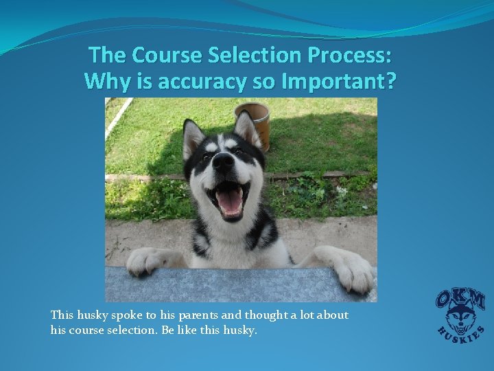 The Course Selection Process: Why is accuracy so Important? This husky spoke to his The Course Selection Process: Why is accuracy so Important? This husky spoke to his