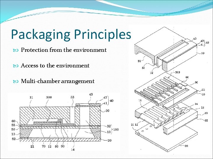 Packaging Principles Protection from the environment Access to the environment Multi-chamber arrangement Packaging Principles Protection from the environment Access to the environment Multi-chamber arrangement