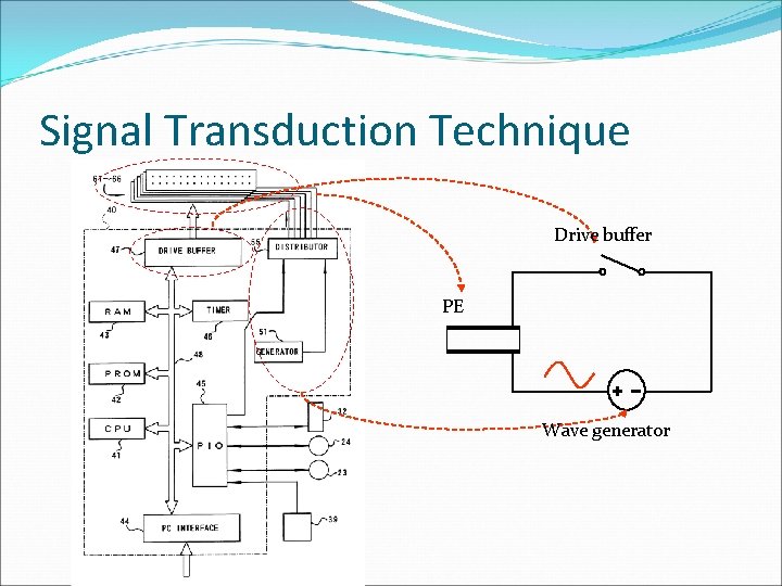 Signal Transduction Technique Drive buffer PE Wave generator Signal Transduction Technique Drive buffer PE Wave generator